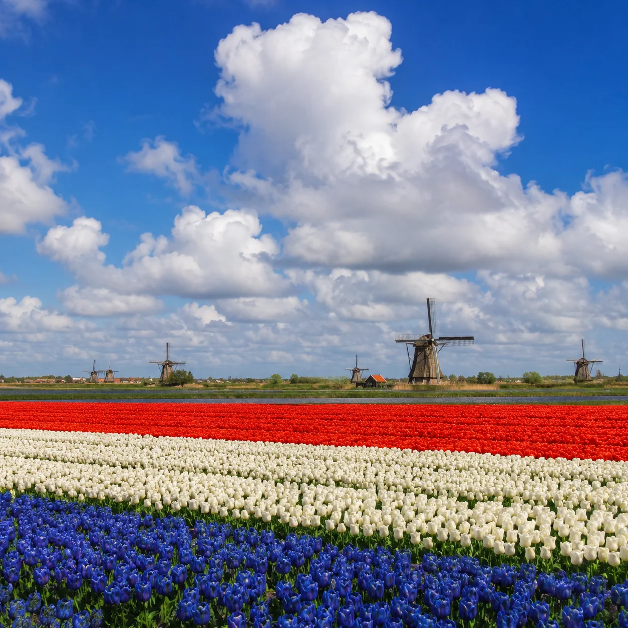 Nederland – Polder & Lucht