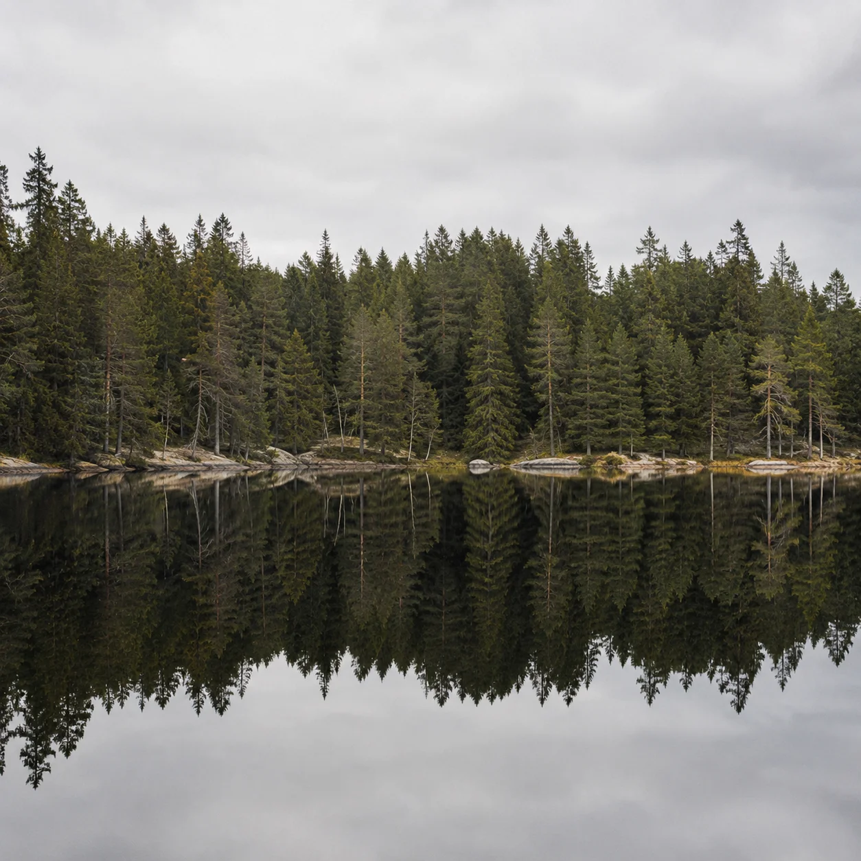 Stille Plas