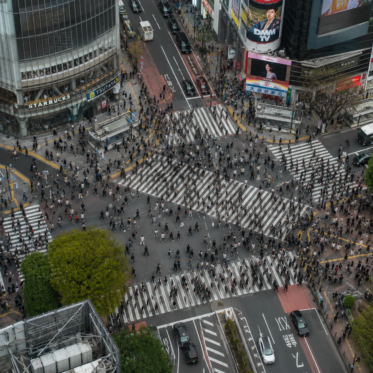 Shibuya